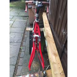 Carrera vanquish 7005 frame