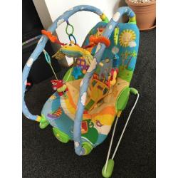 Tiny love gymini baby bouncer