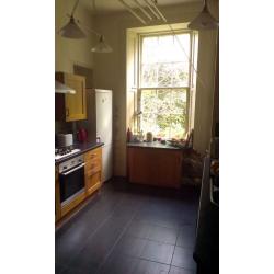 Cheap and beautiful room in friendly Southside flatshare 1st July-31st August