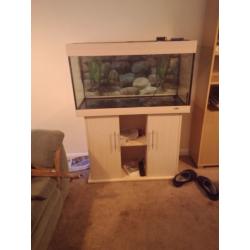 3ft aquarium