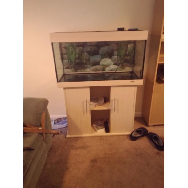 3ft aquarium