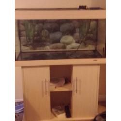 3ft aquarium