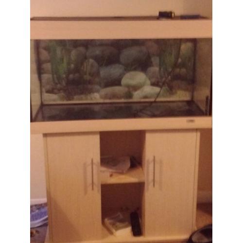 3ft aquarium