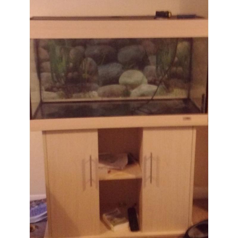 3ft aquarium