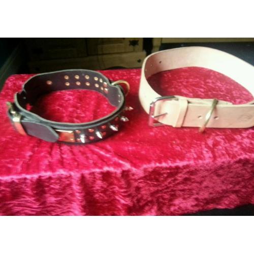 Spike dog collar