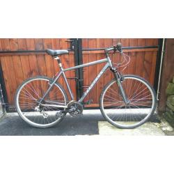 Ridgeback momentum hybrid bike