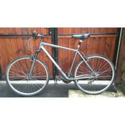 Ridgeback momentum hybrid bike