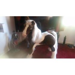 my fur real pony