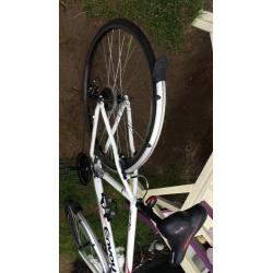 Apollo envoy bike