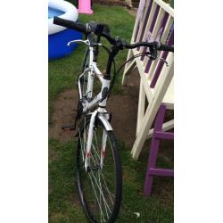 Apollo envoy bike