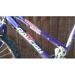 Mountain bike