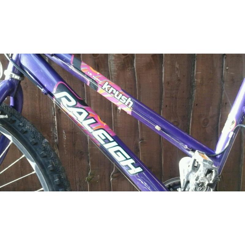 Mountain bike