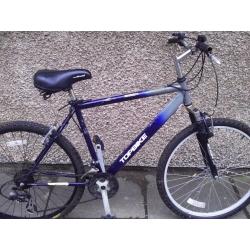 Adult mountain bike