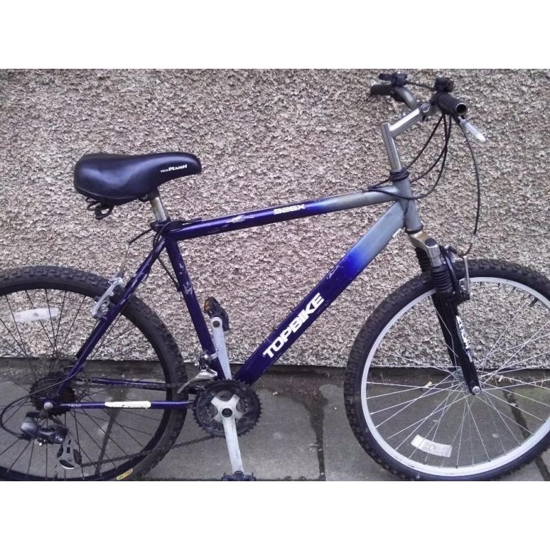 Adult mountain bike