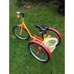 Tricycle ( Child's) - Pashley Pickle - great condition ( basket removed easily)