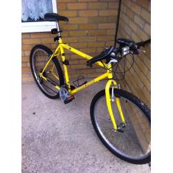 Men's mountain bike with front lights