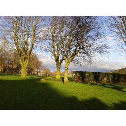 Double bedroom for rent near by the Holyrood ( Festival rent)