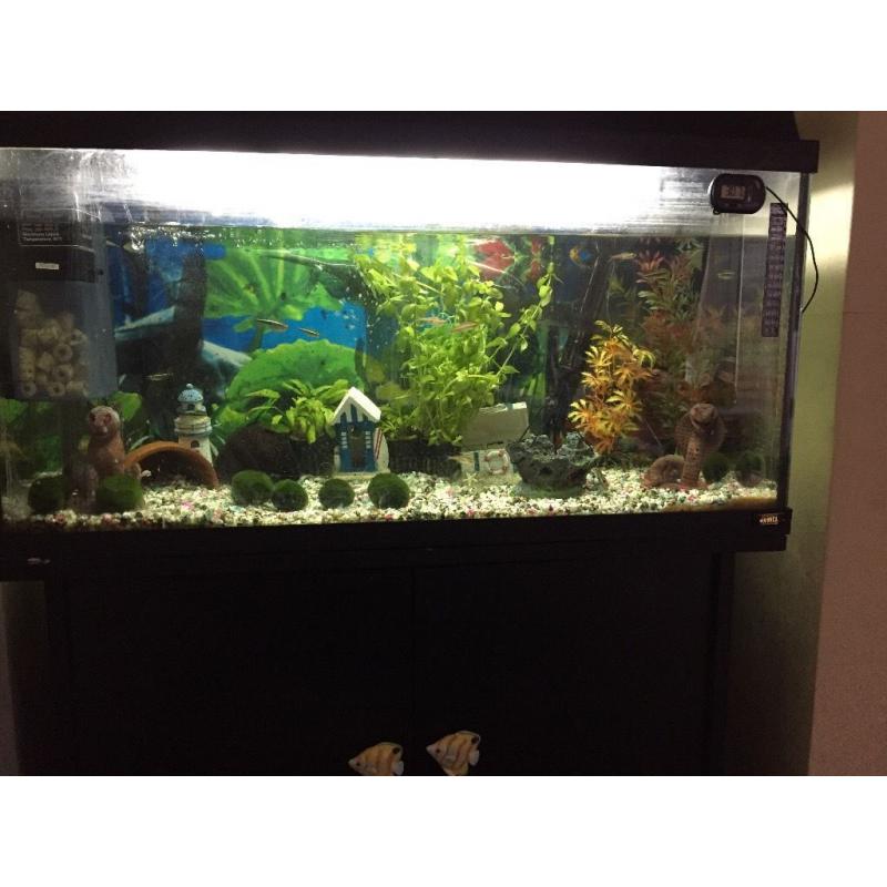 2.5 ft Juwel aquarium with stand black