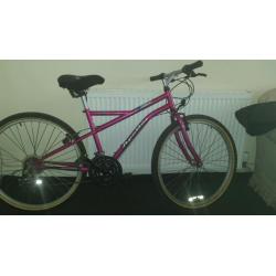 Apollo mountain bike