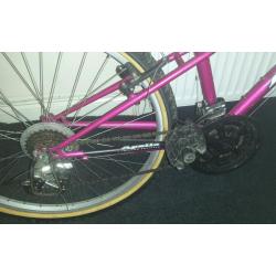 Apollo mountain bike