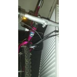 Apollo mountain bike