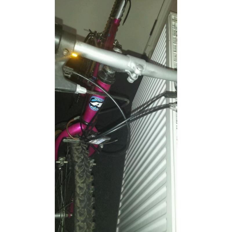 Apollo mountain bike