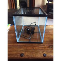 Fish Tank