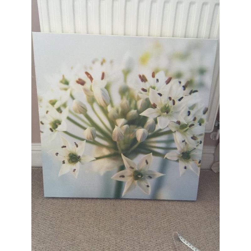 Large flower canvas