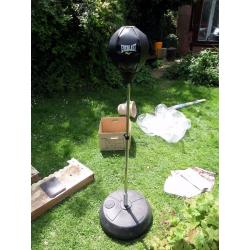 Junior Everlast Punch ball