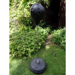 Junior Everlast Punch ball
