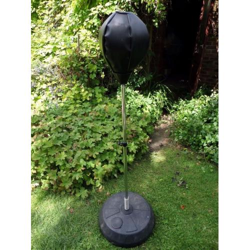 Junior Everlast Punch ball