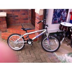 Kona Shred for sale