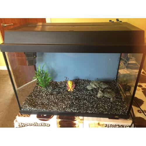 Juwel fish tank aquarium