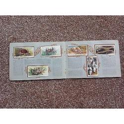 Wills picture cigarette card album - seashore - 50 cards