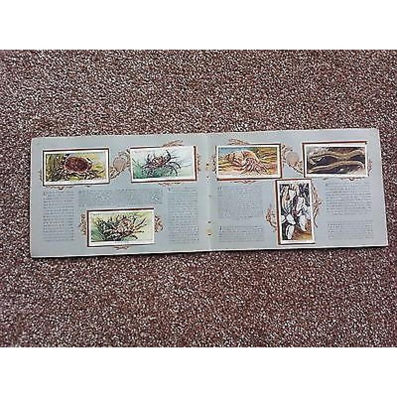 Wills picture cigarette card album - seashore - 50 cards
