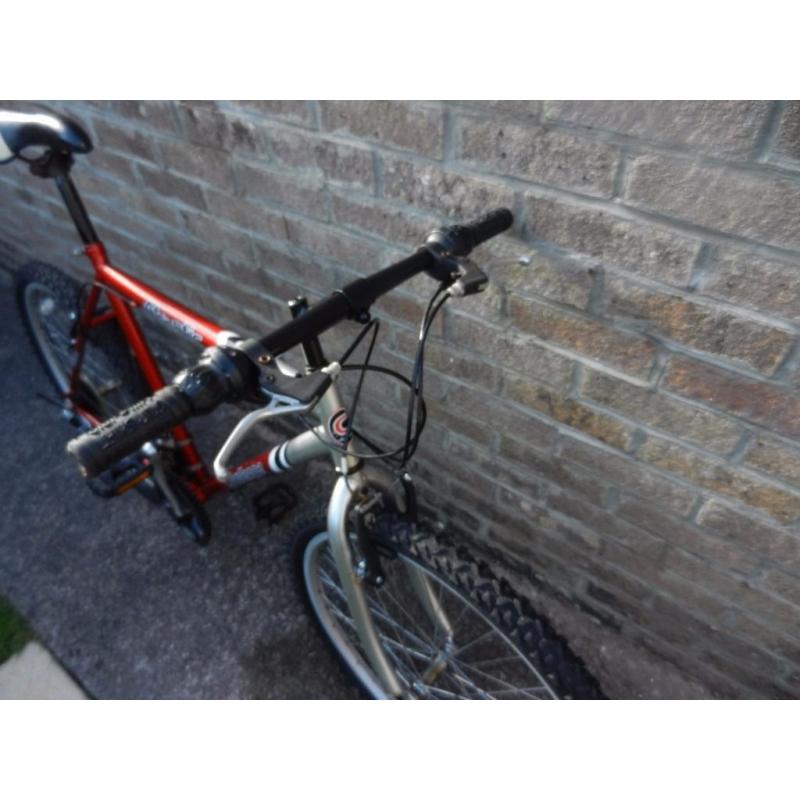 mans bike