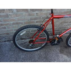 mans bike
