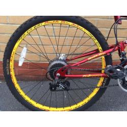 Sabre Double Disc Sportz 24" kids mountain bike