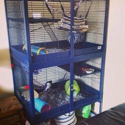 Two tier savic royal suite cage