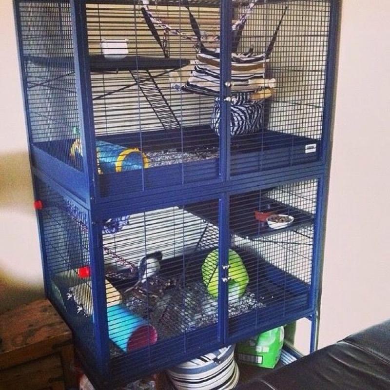 Two tier savic royal suite cage