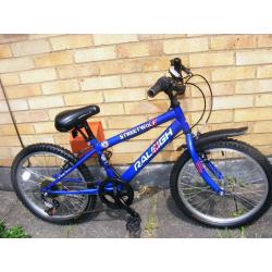 BOYS 20" WHEEL RALEIGH BIKE IN GREAT WORKING ORDER