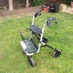 Mobility walker