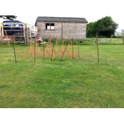 Electric fencing