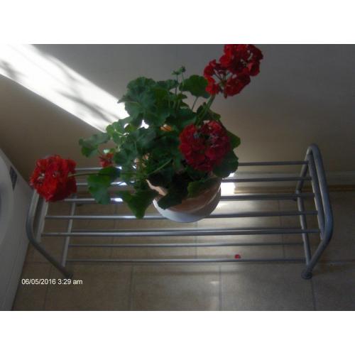 2 Tier Shoe Rack Storage Boot Stand , plant stand