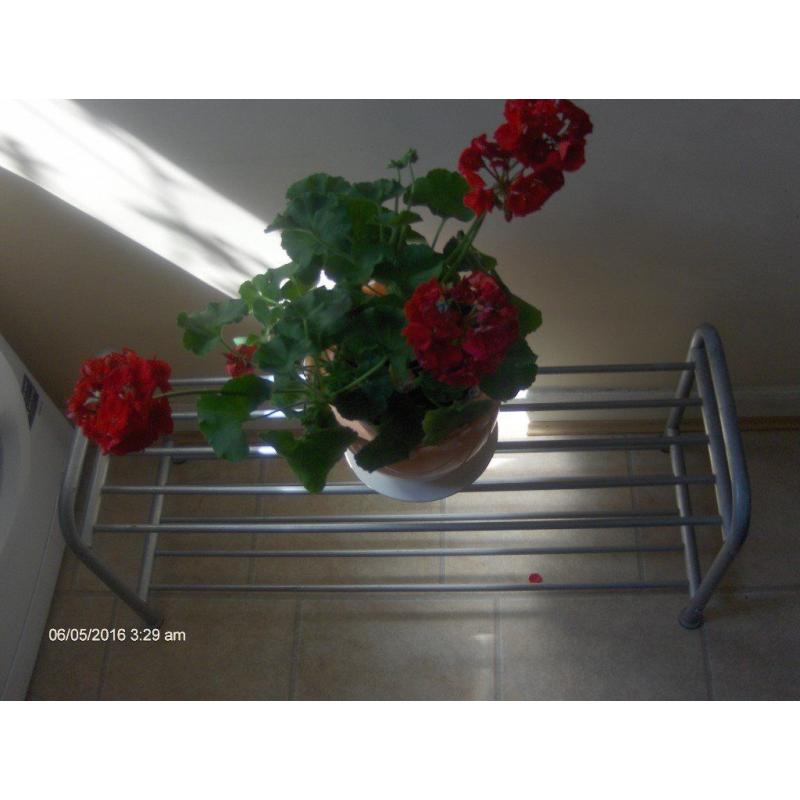 2 Tier Shoe Rack Storage Boot Stand , plant stand
