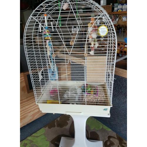 Bird cage