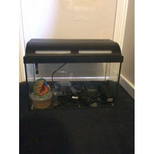 35l tropical fish tank
