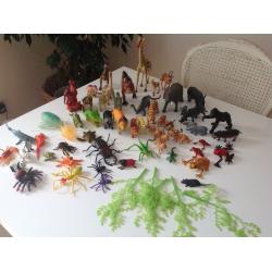 Lot of kids jungle safari animals insects dinosaurs!