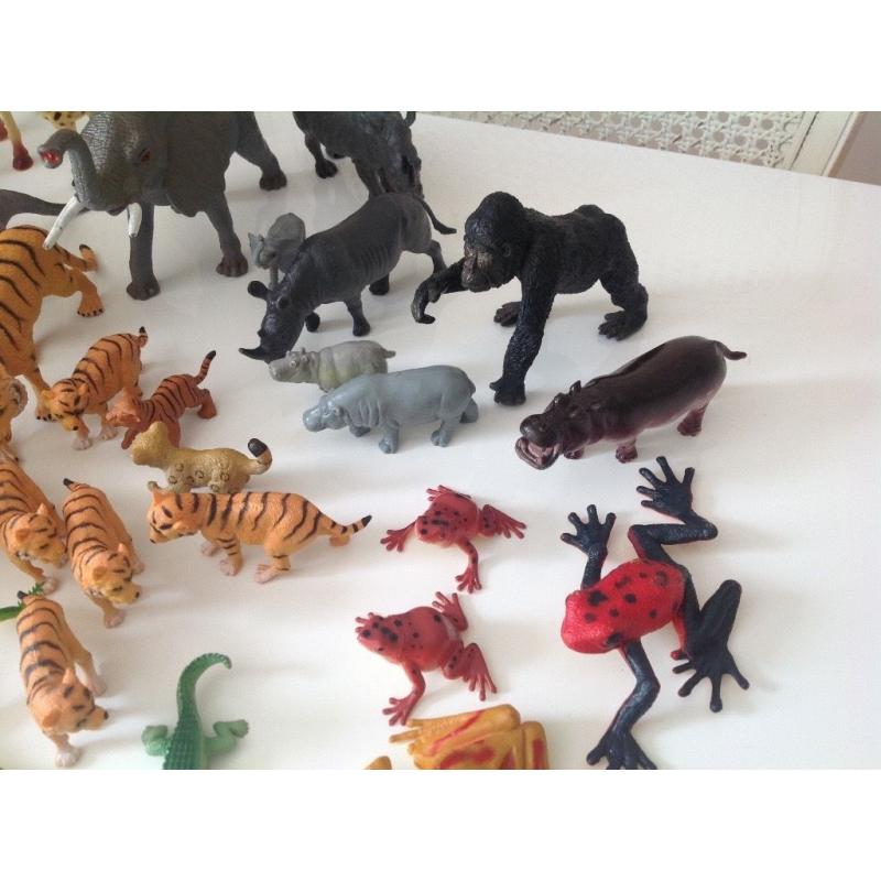 Lot of kids jungle safari animals insects dinosaurs!