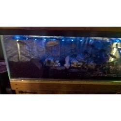 solid wood cabinet and fish tank
